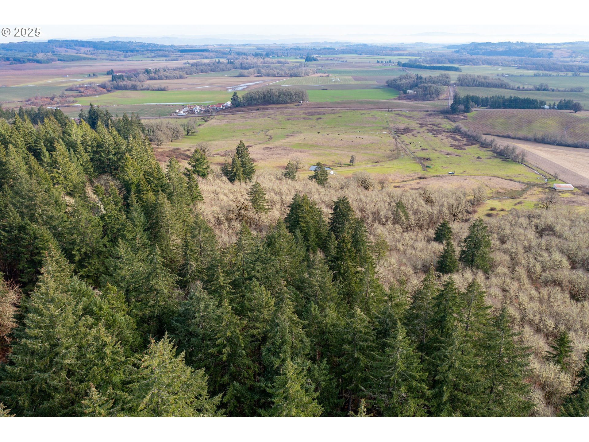 0 Next To) Airlie Road Monmouth, OR 97361 - Photo 3 of 34 a view of a water with an outdoor space