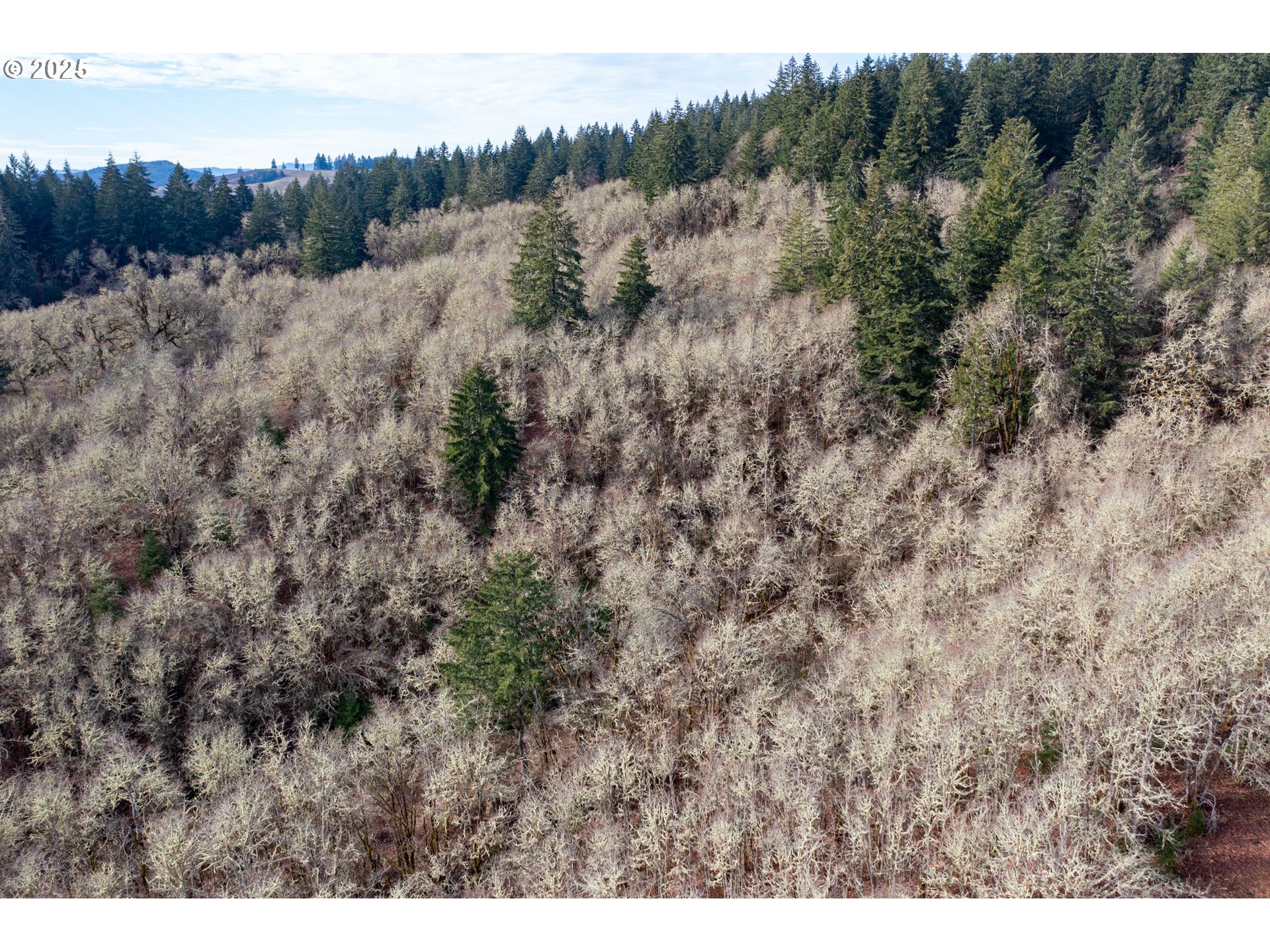 0 Next To) Airlie Road Monmouth, OR 97361 - Photo 31 of 34 a view of a field of grass and trees