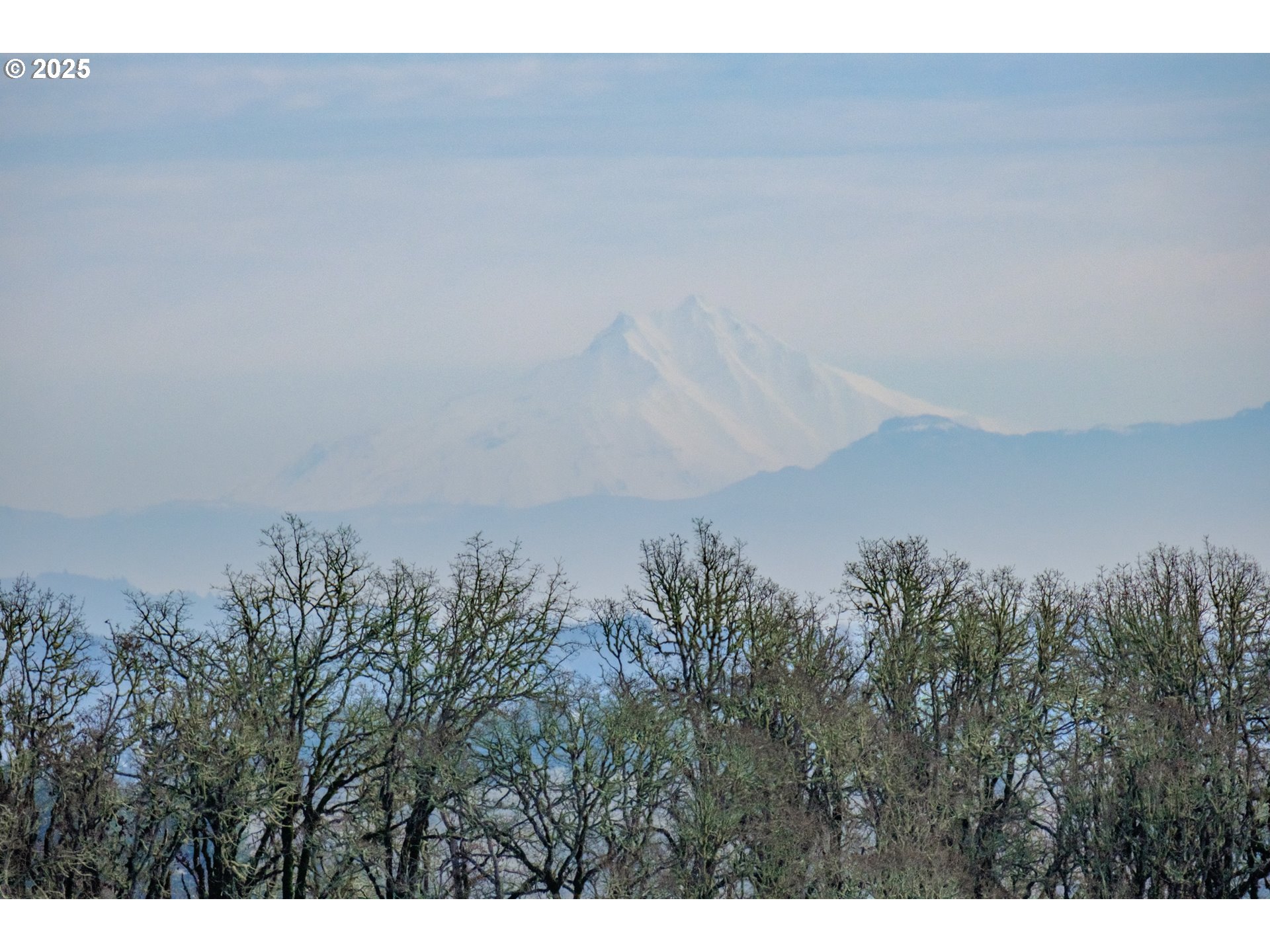 0 Next To) Airlie Road Monmouth, OR 97361 - Photo 4 of 34 a view of a field of grass and trees