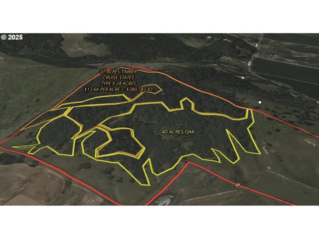 a black and white photo of a tennis court