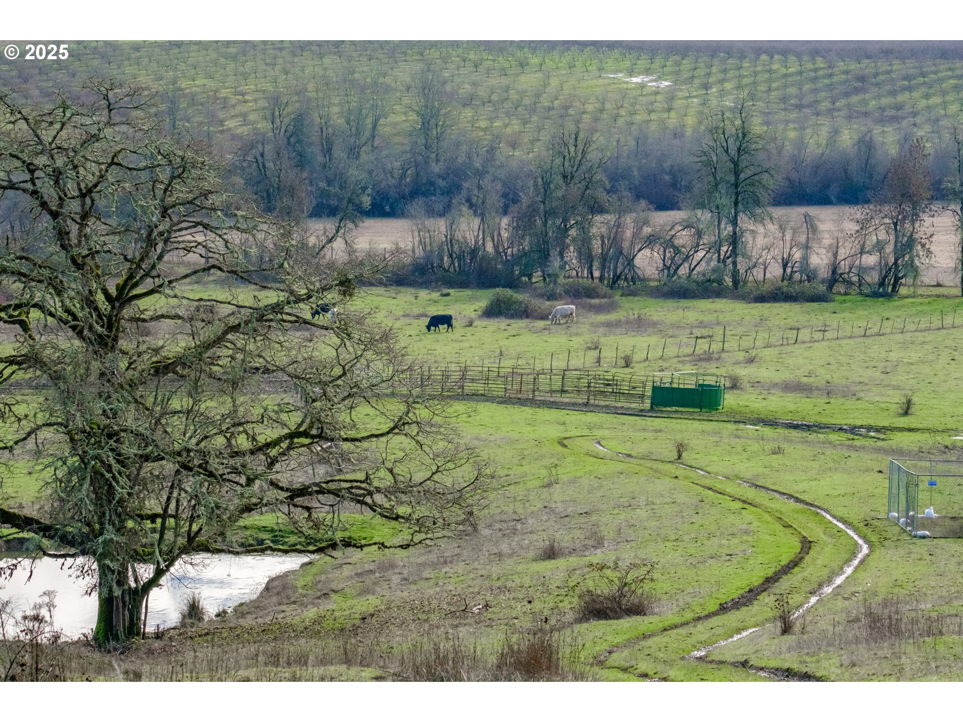 0 Next To) Airlie Road Monmouth, OR 97361 - Photo 9 of 34 a view of a yard with an outdoor space