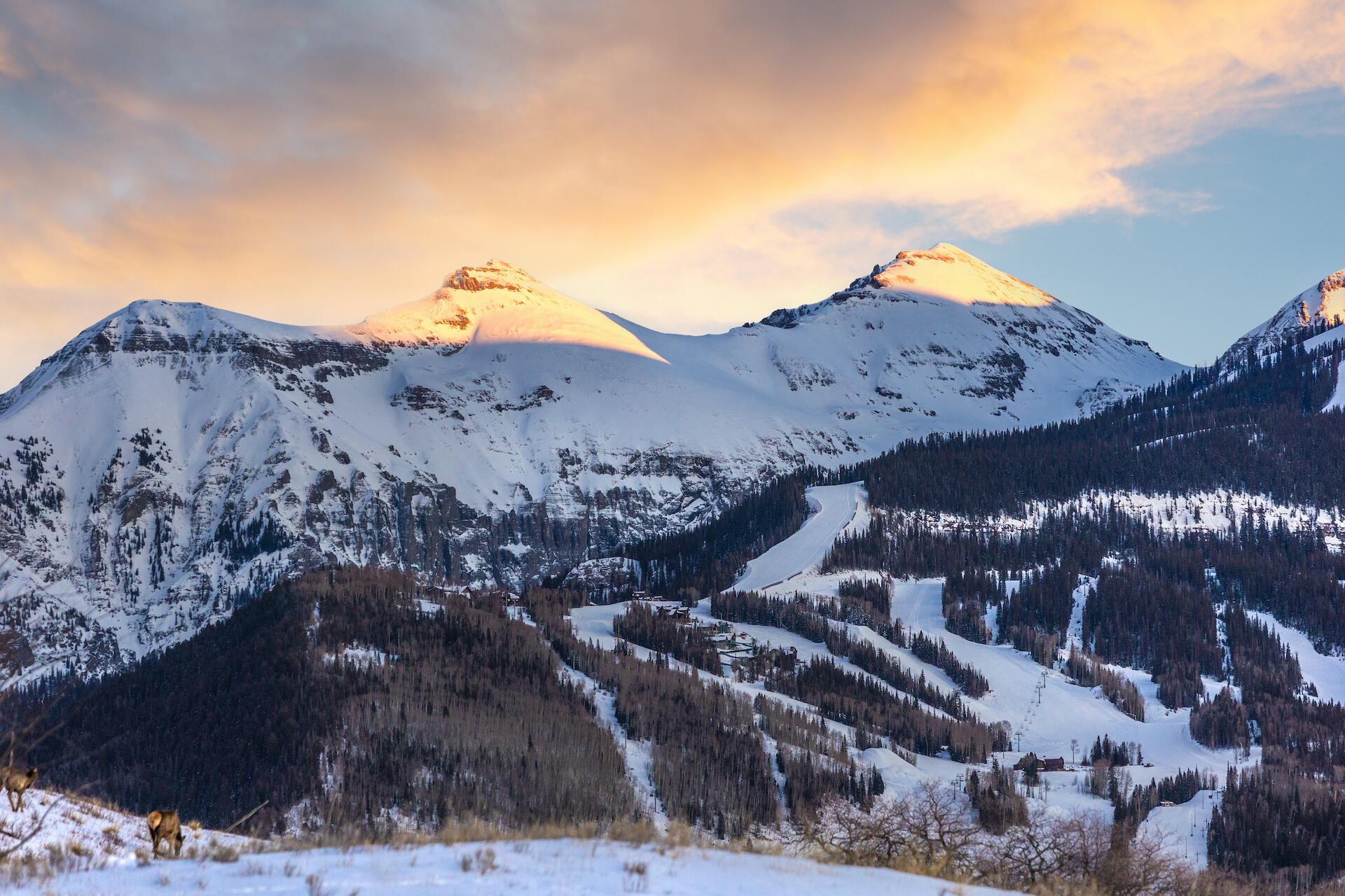 Tbd Miguel Road Telluride, CO 81435 - Photo 11 of 14 a view of a backyard of a house