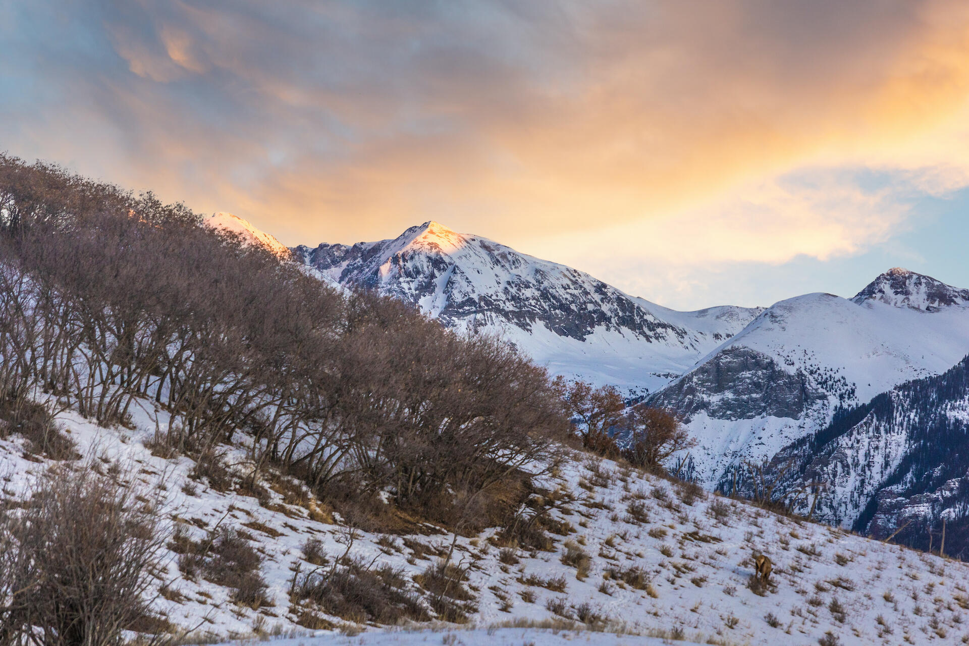 Tbd Miguel Road Telluride, CO 81435 - Photo 12 of 14 a view of mountains and valleys