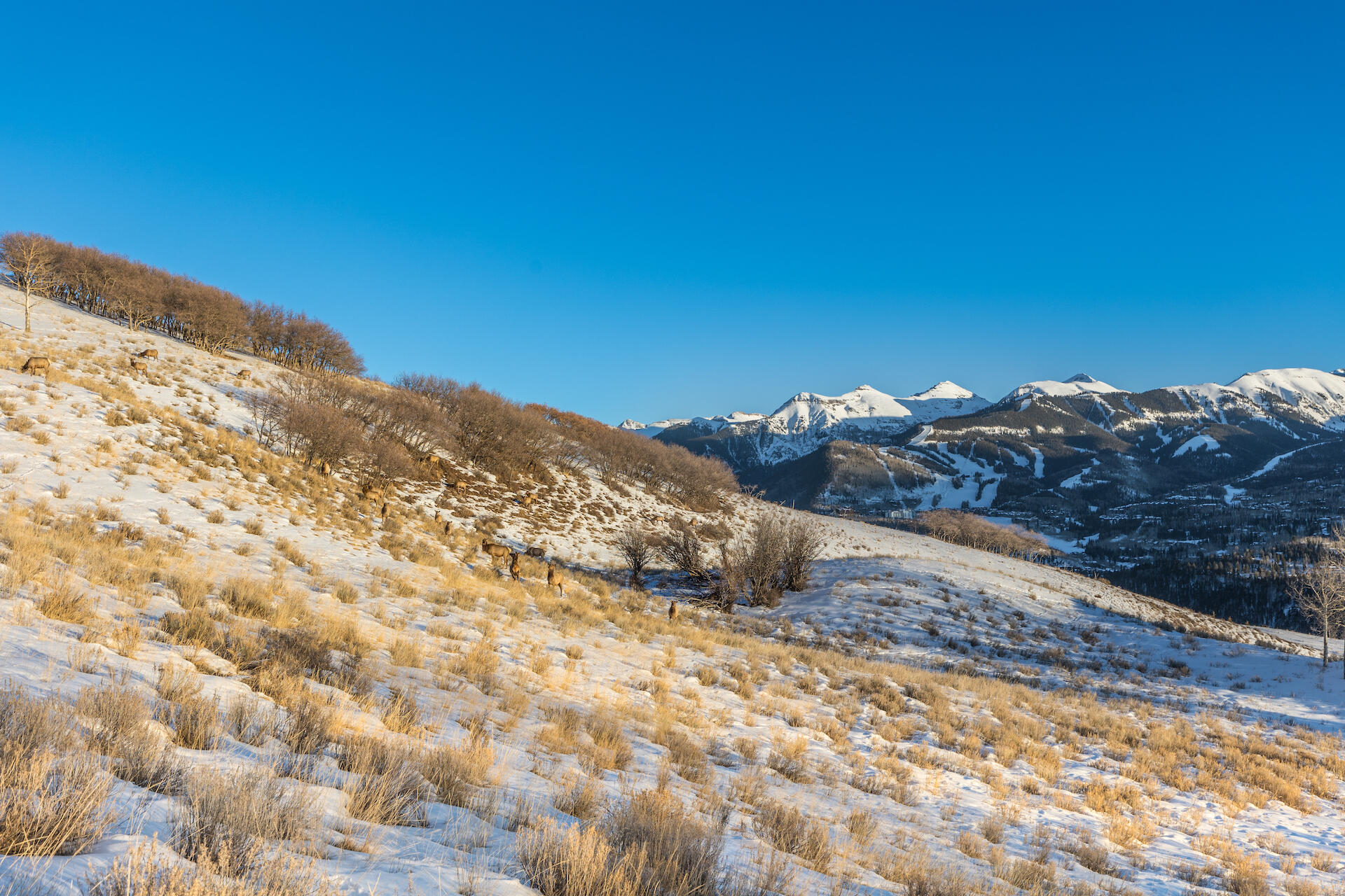 Tbd Miguel Road Telluride, CO 81435 - Photo 4 of 14 a view of mountain with sunset