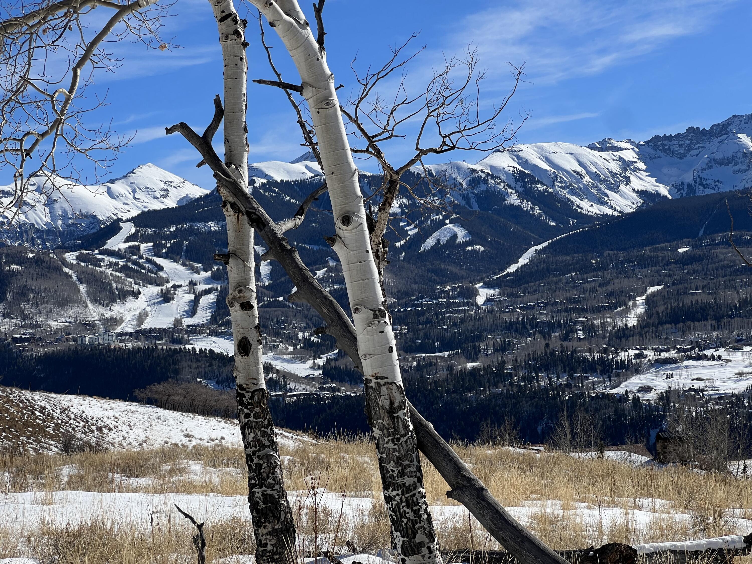 Tbd Miguel Road Telluride, CO 81435 - Photo 5 of 14 a view of swimming pool from a balcony