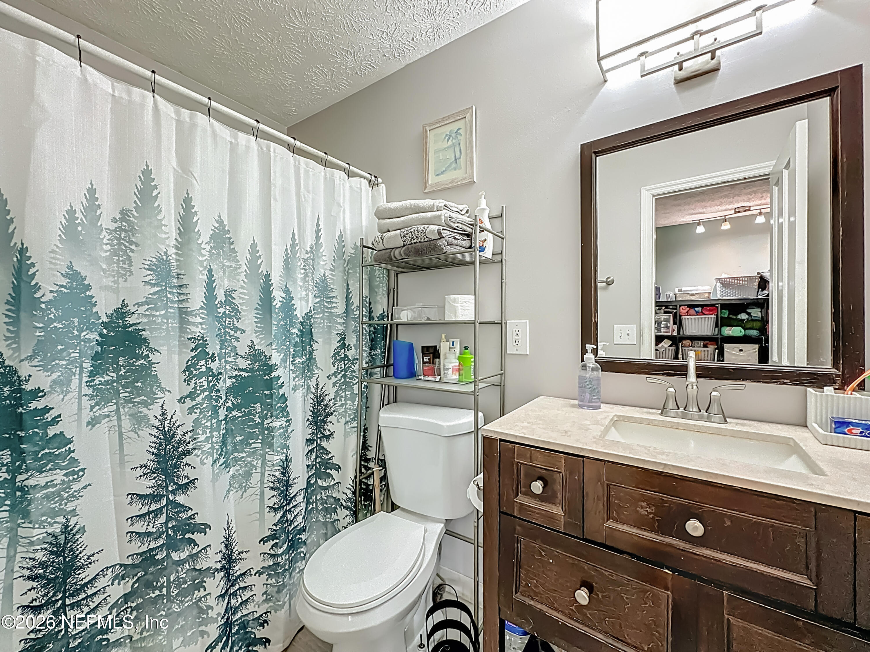 8302 Cassie Road Jacksonville, FL 32221 - Photo 29 of 46 a bathroom with a sink a toilet and shower