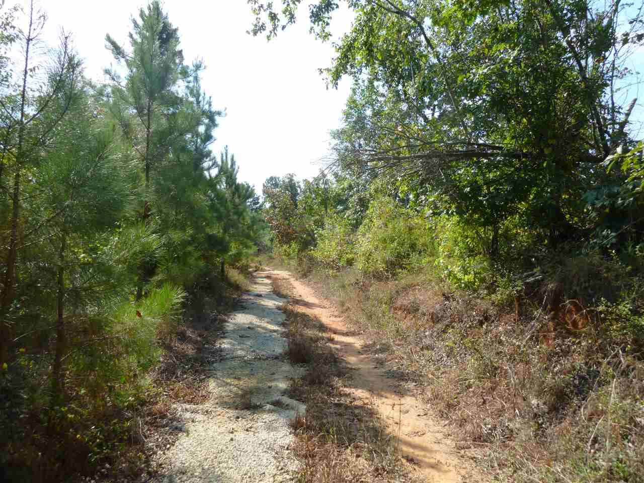 1 Herring School Road Winona, MS 38967 - Photo 1 of 42 Photo 1