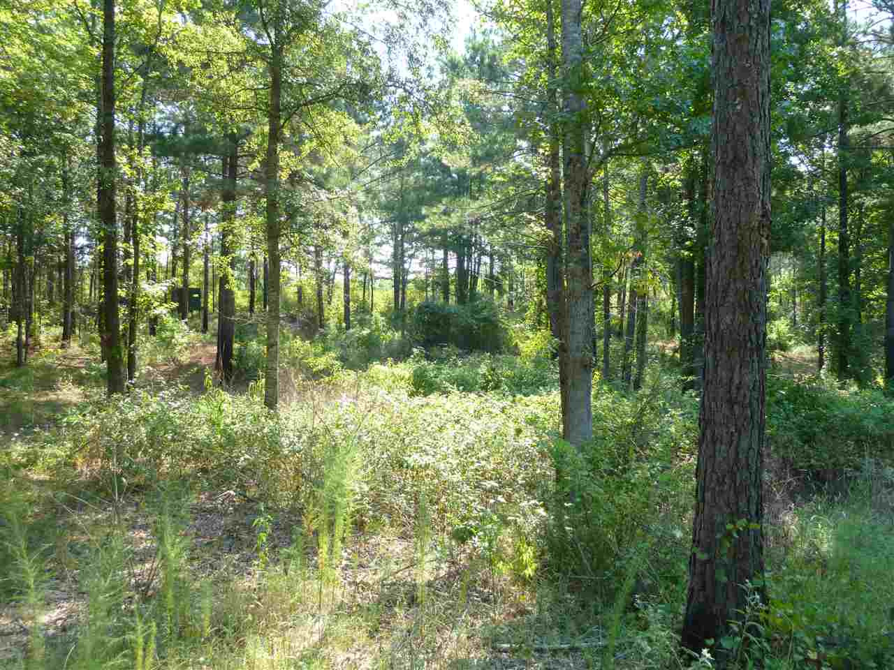 1 Herring School Road Winona, MS 38967 - Photo 13 of 42 Photo 13