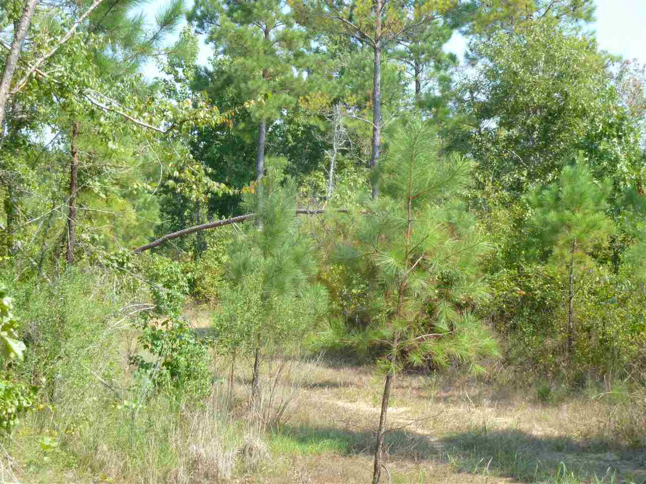 1 Herring School Road Winona, MS 38967 - Photo 17 of 42 Photo 17