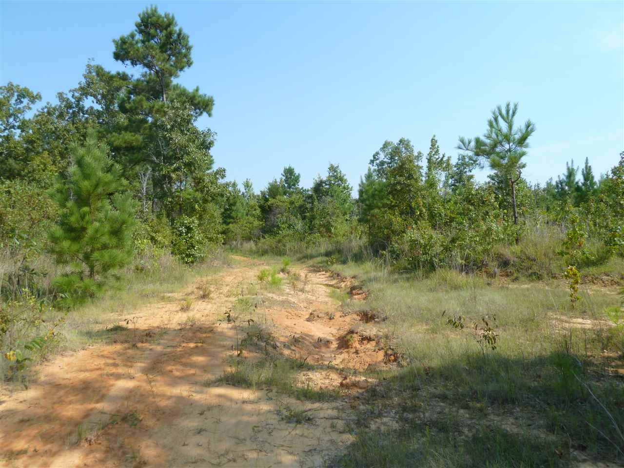 1 Herring School Road Winona, MS 38967 - Photo 18 of 42 Photo 18