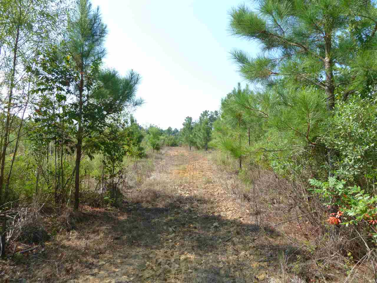 1 Herring School Road Winona, MS 38967 - Photo 22 of 42 Photo 22