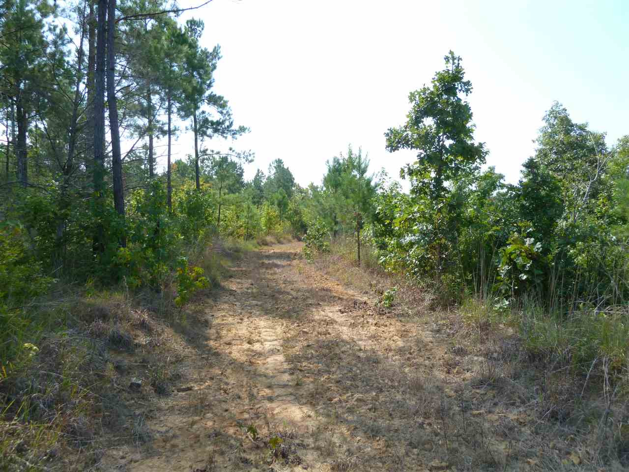 1 Herring School Road Winona, MS 38967 - Photo 26 of 42 Photo 26