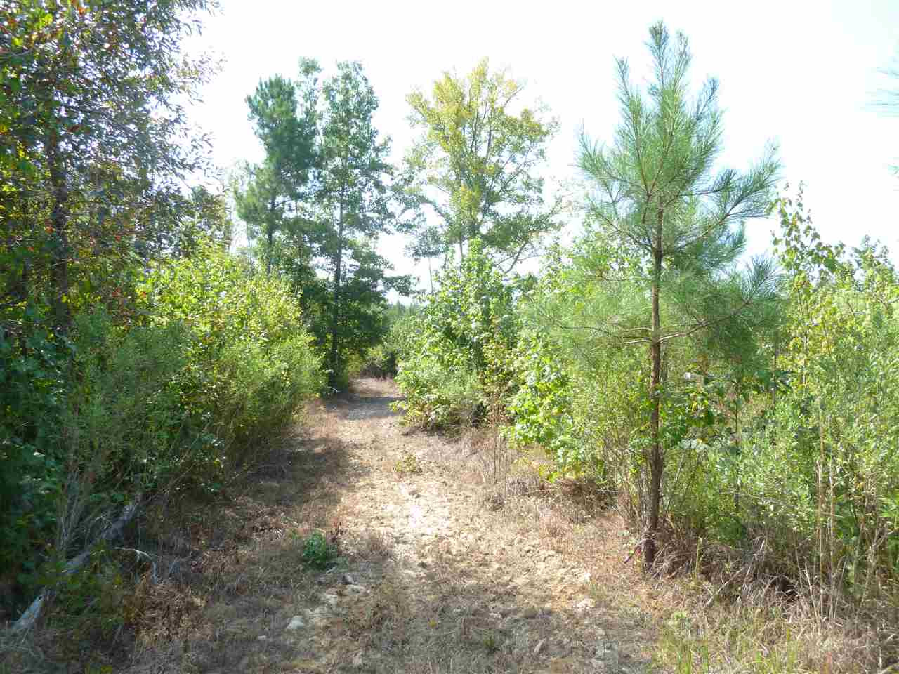1 Herring School Road Winona, MS 38967 - Photo 29 of 42 Photo 29