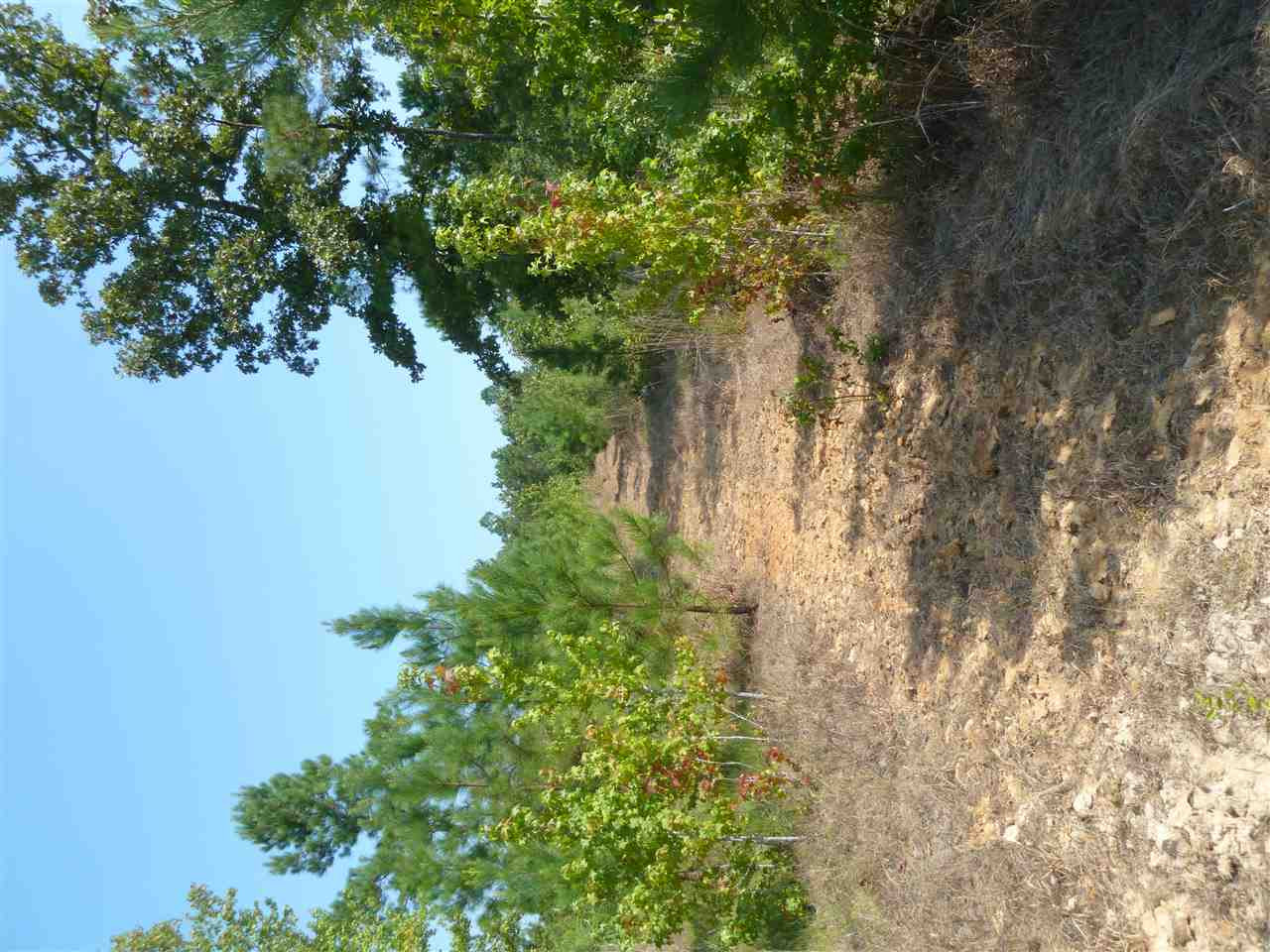 1 Herring School Road Winona, MS 38967 - Photo 30 of 42 Photo 30