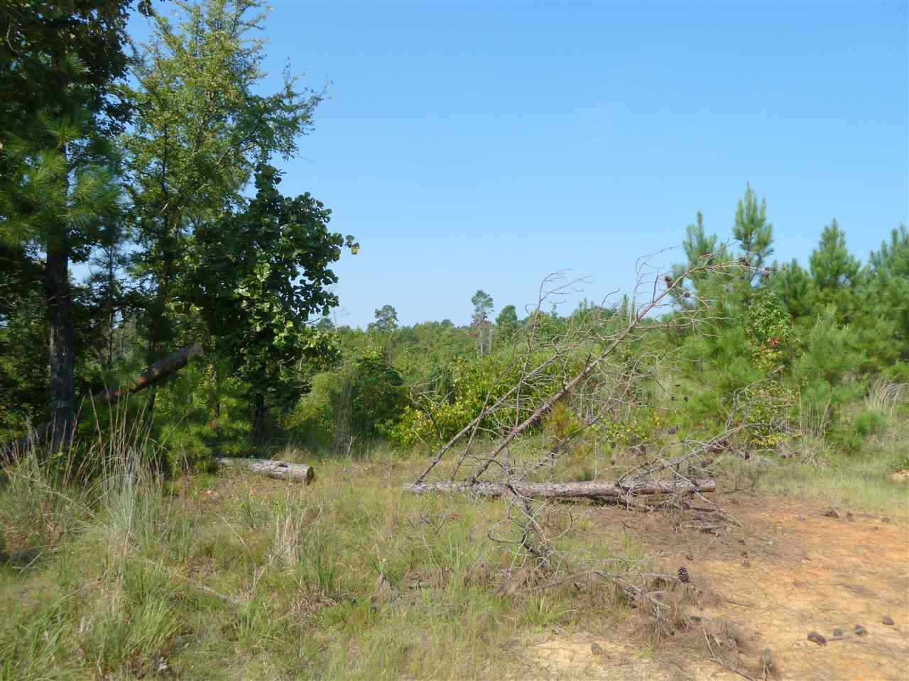 1 Herring School Road Winona, MS 38967 - Photo 3 of 42 Photo 3