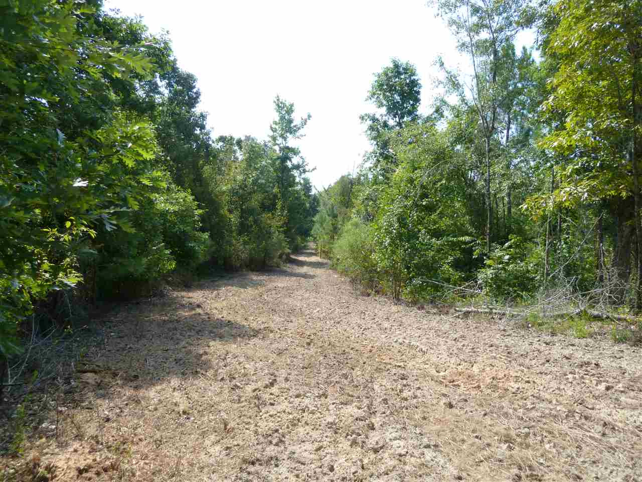 1 Herring School Road Winona, MS 38967 - Photo 32 of 42 Photo 32