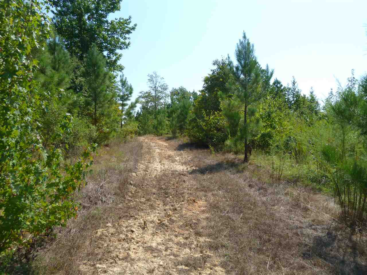 1 Herring School Road Winona, MS 38967 - Photo 38 of 42 Photo 38