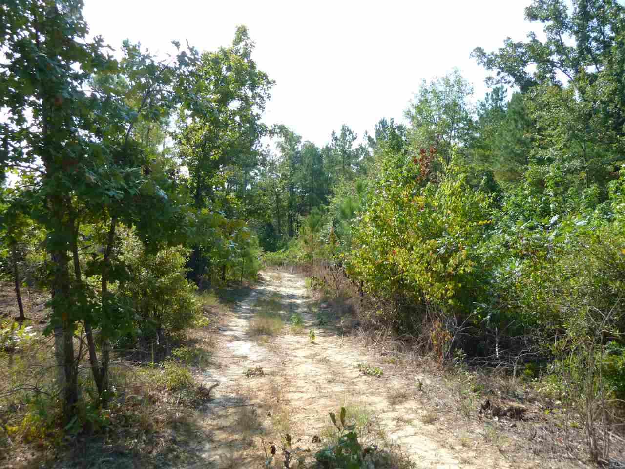 1 Herring School Road Winona, MS 38967 - Photo 5 of 42 Photo 5