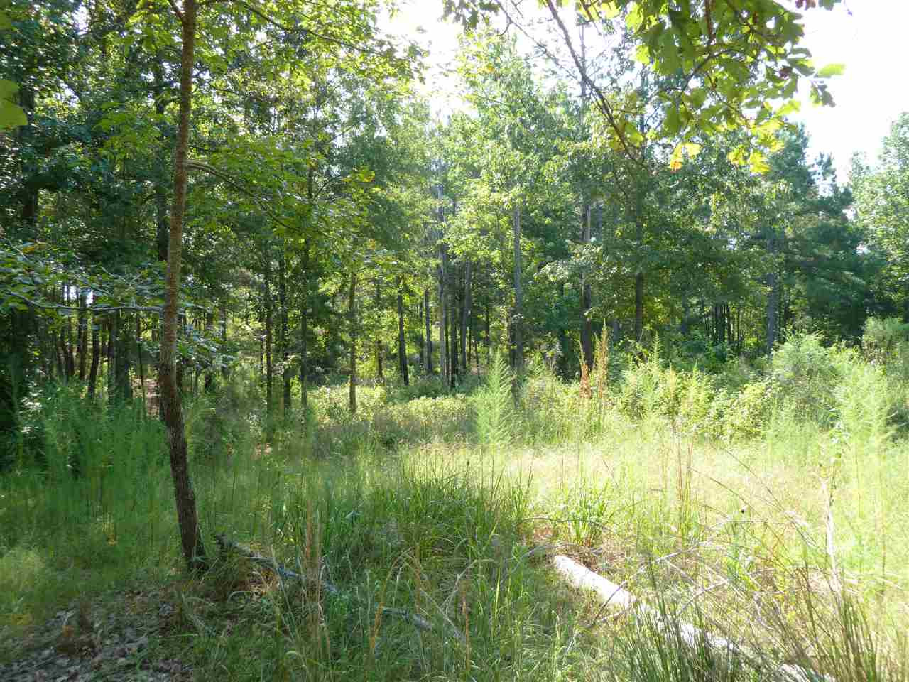 1 Herring School Road Winona, MS 38967 - Photo 6 of 42 Photo 6