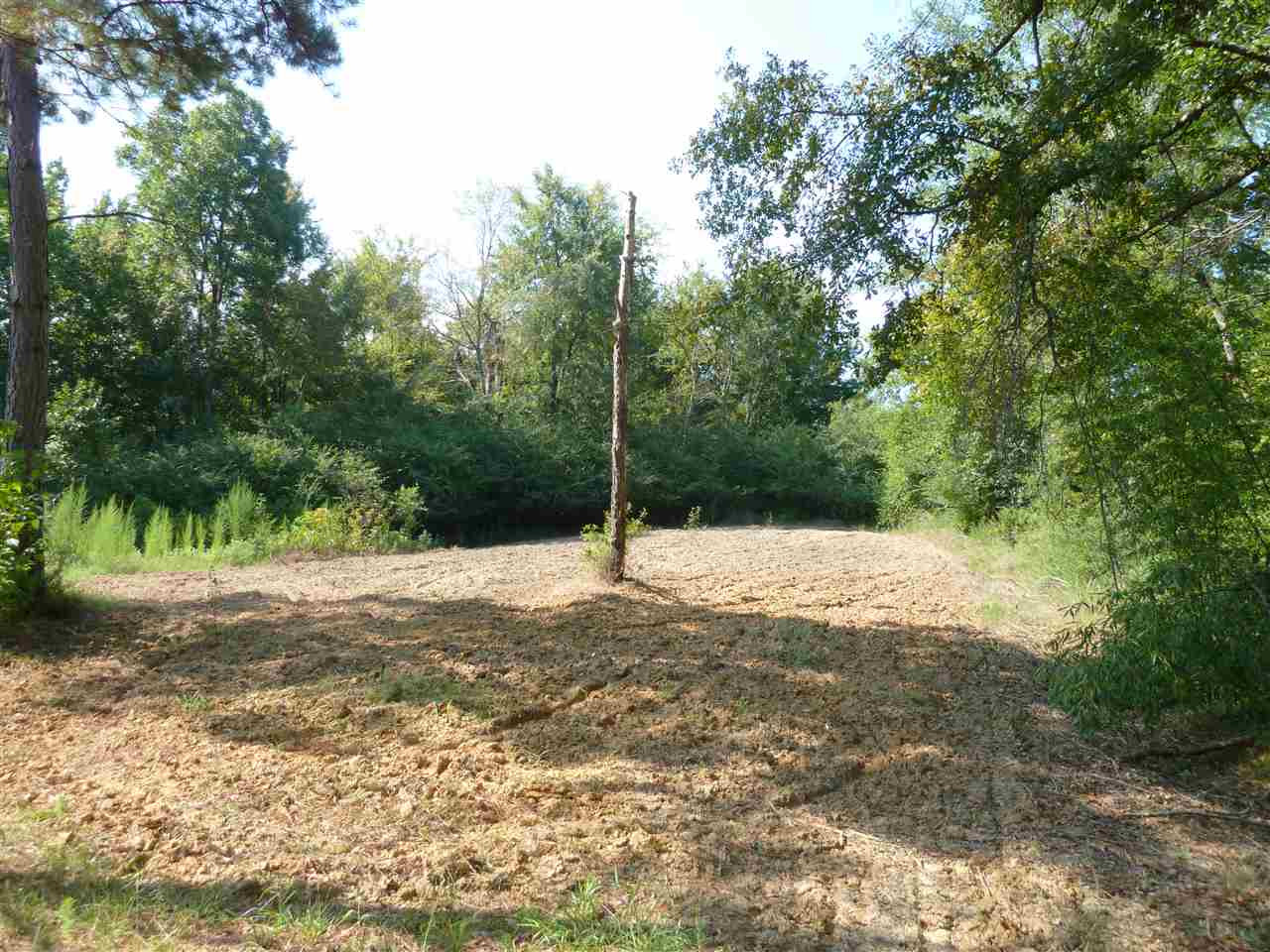 1 Herring School Road Winona, MS 38967 - Photo 7 of 42 Photo 7