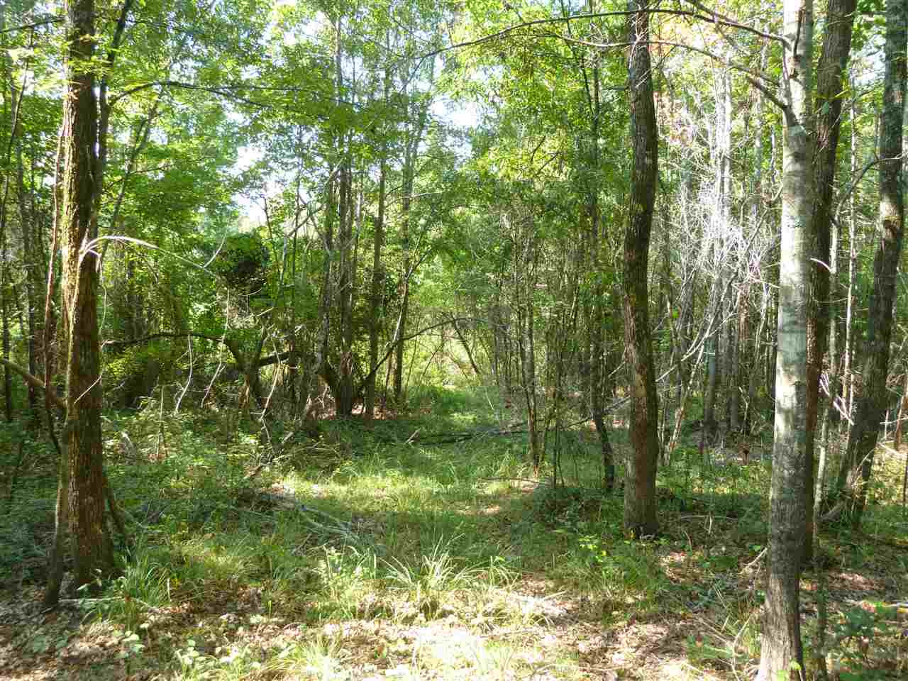 1 Herring School Road Winona, MS 38967 - Photo 10 of 42 Photo 10