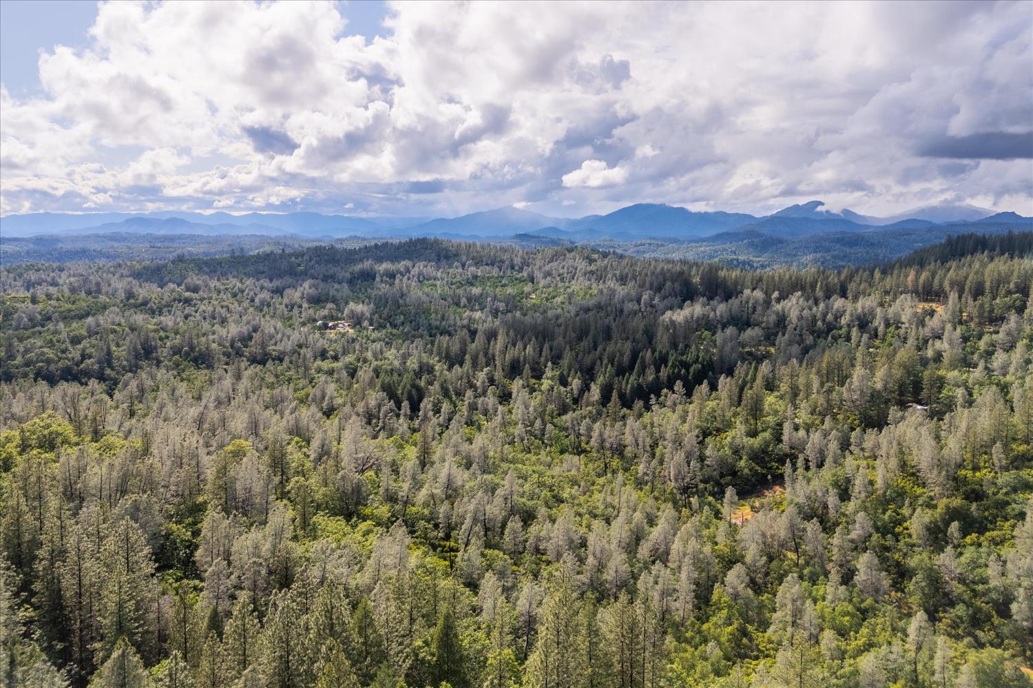 0 Donkey Mine Road Oak Run, CA 96069 - Photo 13 of 19 Gallery Image 13