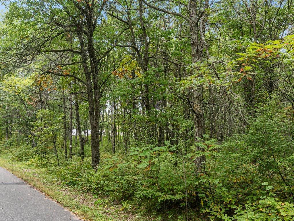 Lot H Lot H Sandbar Lane Merrifield, MN 56465 - Photo 11 of 15