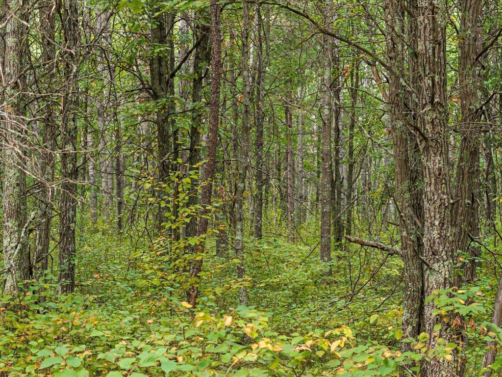 Lot H Lot H Sandbar Lane Merrifield, MN 56465 - Photo 2 of 15