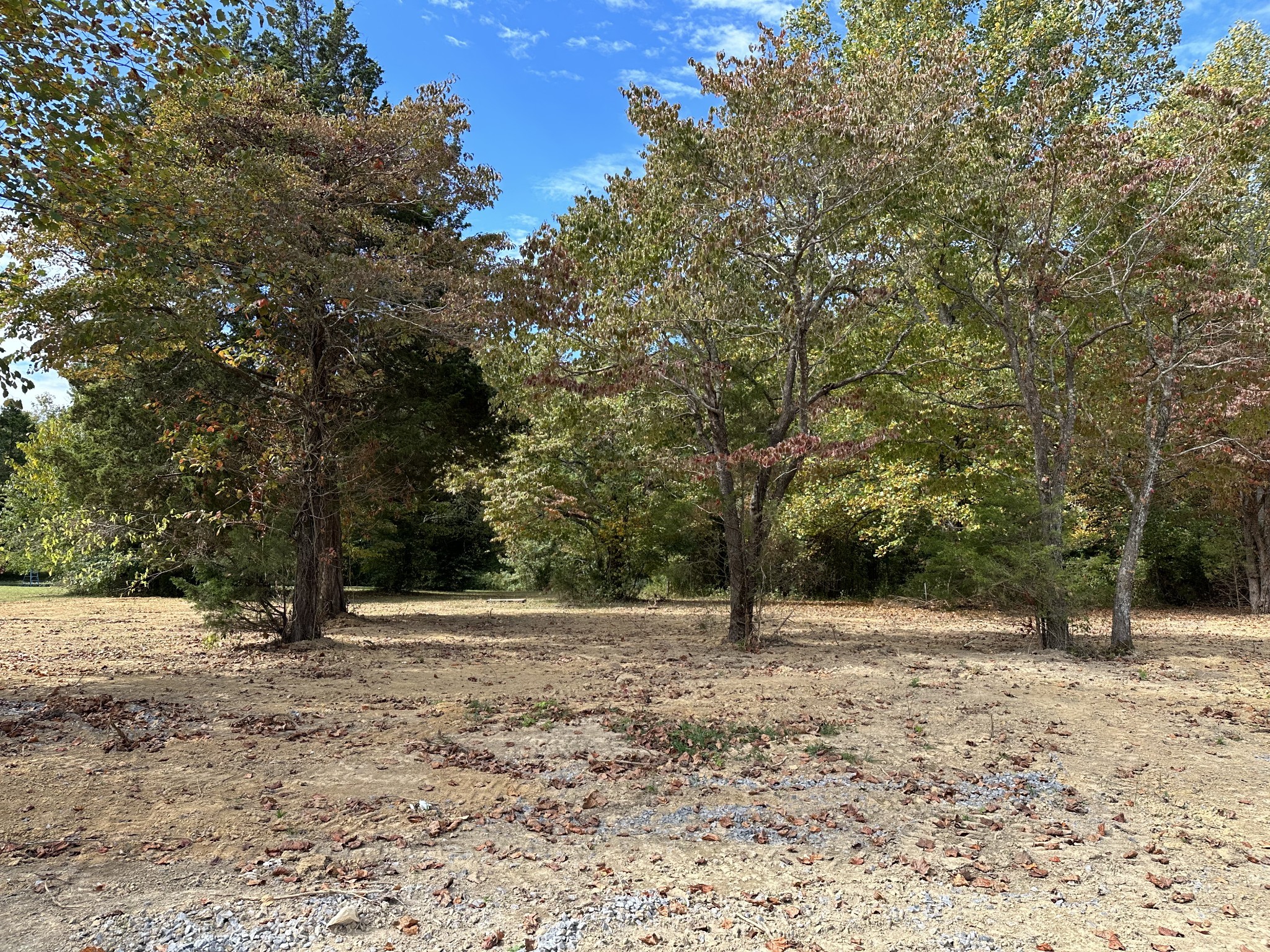 979 Mt Vernon Road Bethpage, TN 37022 - Photo 3 of 11 Gallery Image 3