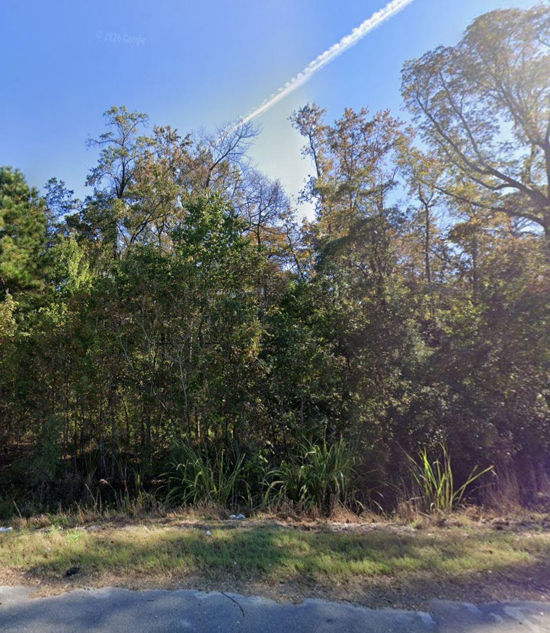 0 Augusta Road Port Wentworth, GA 31407 - Photo 12 of 12 Augusta Rd street view pic 1