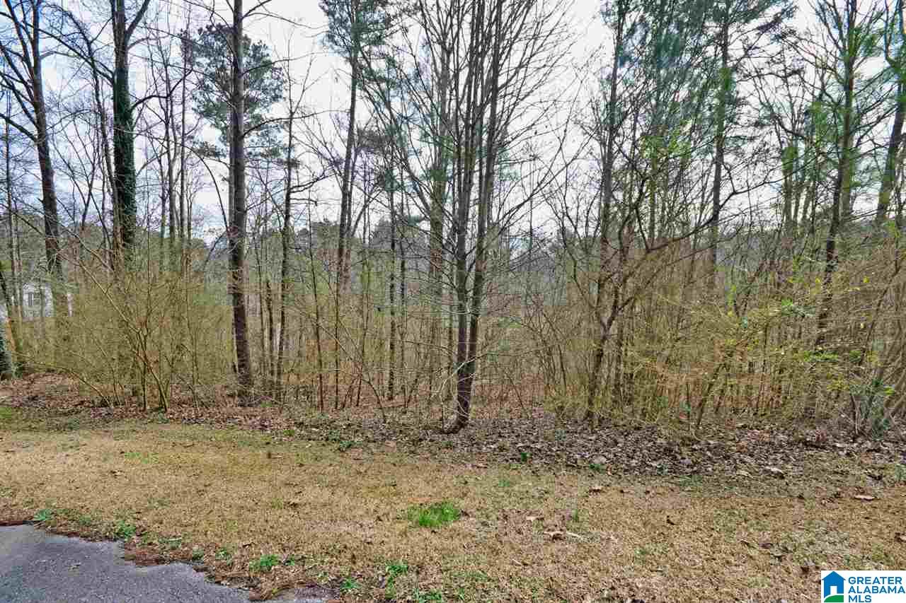 310 Quail Run Drive Cullman, AL 35057 - Photo 47 of 50