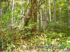12-13 Springbrook Farm Road Waynesville, NC 28786 - Photo 1 of 8