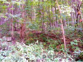 12-13 Springbrook Farm Road Waynesville, NC 28786 - Photo 2 of 8