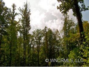 12-13 Springbrook Farm Road Waynesville, NC 28786 - Photo 3 of 8