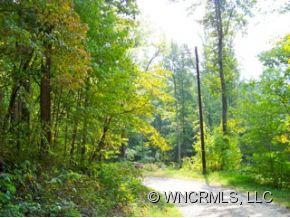 12-13 Springbrook Farm Road Waynesville, NC 28786 - Photo 4 of 8