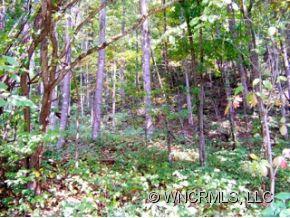 12-13 Springbrook Farm Road Waynesville, NC 28786 - Photo 5 of 8