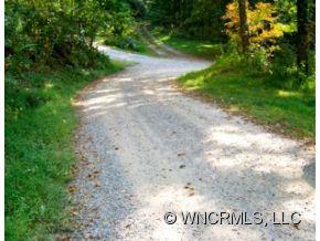 12-13 Springbrook Farm Road Waynesville, NC 28786 - Photo 6 of 8