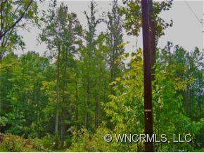 12-13 Springbrook Farm Road Waynesville, NC 28786 - Photo 7 of 8