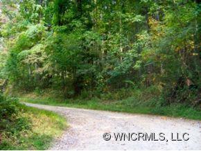 12-13 Springbrook Farm Road Waynesville, NC 28786 - Photo 8 of 8