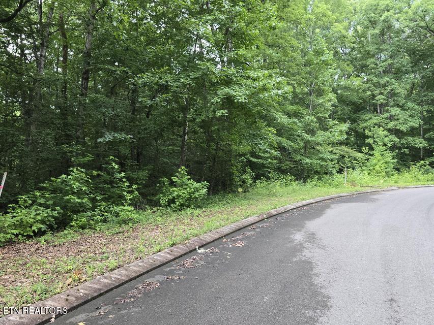 141 Lot Road Dunlap, TN 37327 - Photo 1 of 5 1