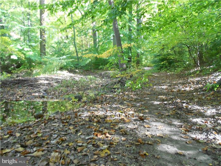 510 Blakeley Road Wallingford, PA 19086 - Photo 21 of 21