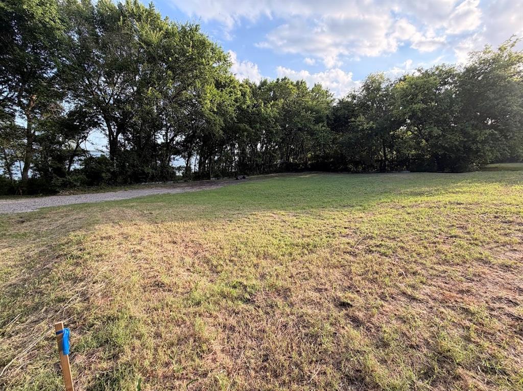 0 County Road 890 Lucas, TX 75002 - Photo 3 of 8