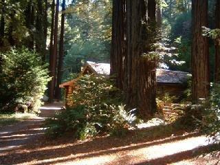 7099 Lucas Valley Road Nicasio, CA 94946 - Photo 2 of 5 Gallery Image 2