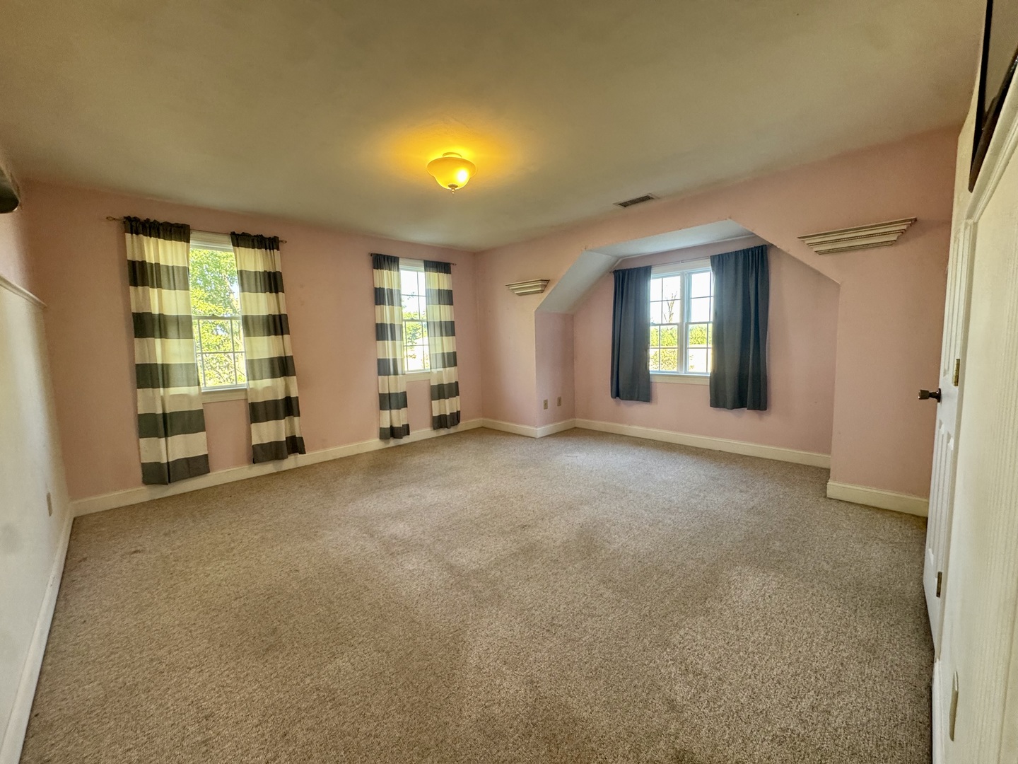 102 North Avenue Ina, IL 62846 - Photo 37 of 55 Gallery Image 37