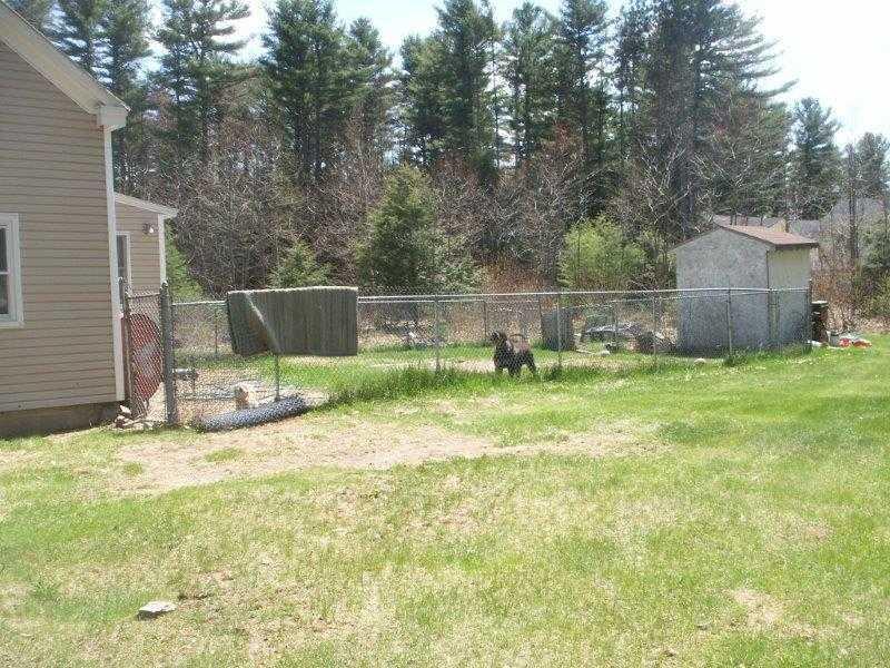 68 Thomas Point Road Brunswick, ME 04011 - Photo 6 of 7 Yard/Garden.