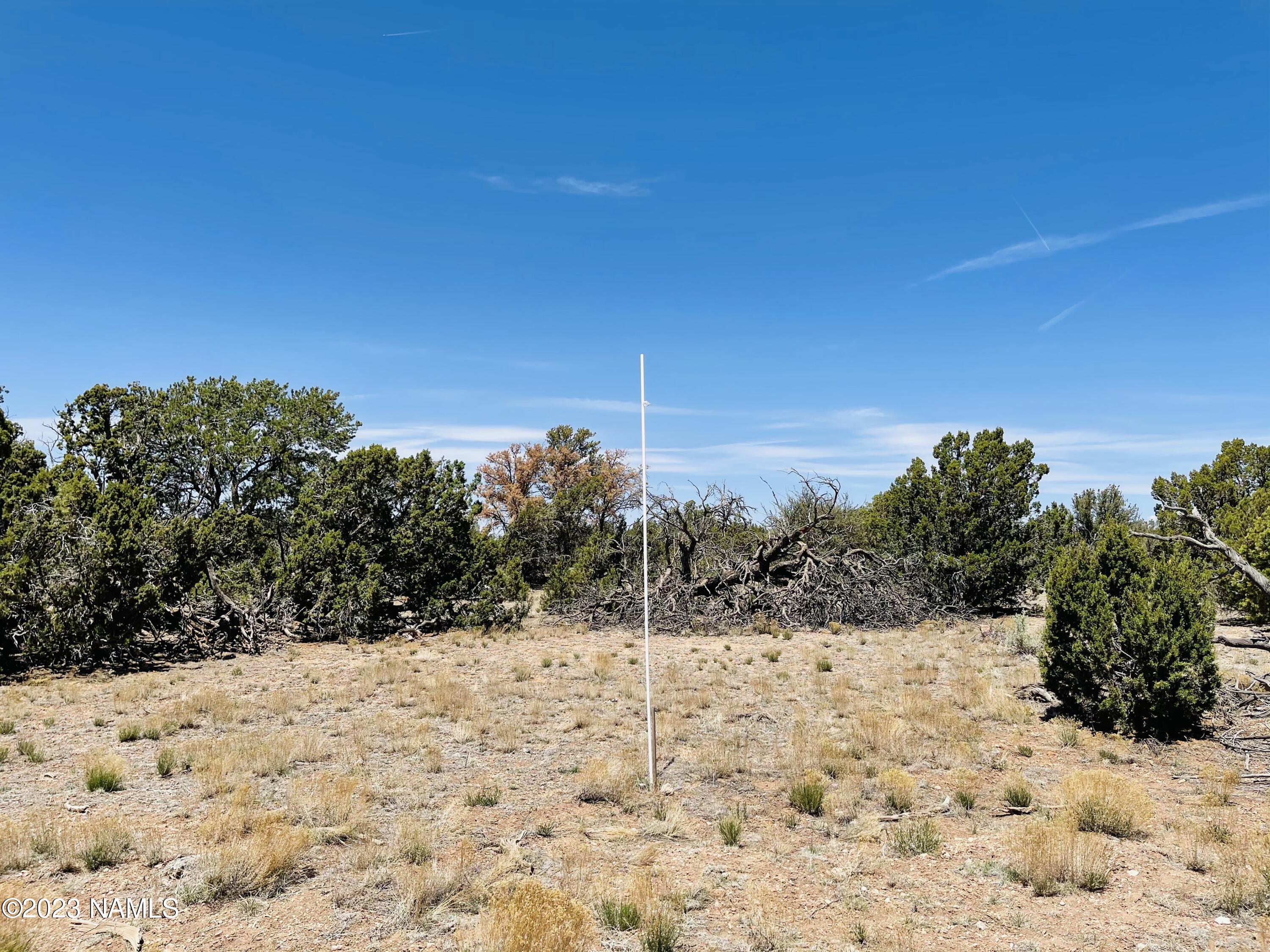 9408 South Rim Ranch Road Williams, AZ 86046 - Photo 9 of 14 9408 South Rim Ranch Rd Photo 5