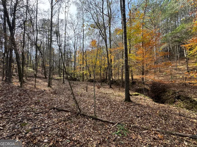 $499,000 | 0 Old Middleton Road, Elberton, GA 30635