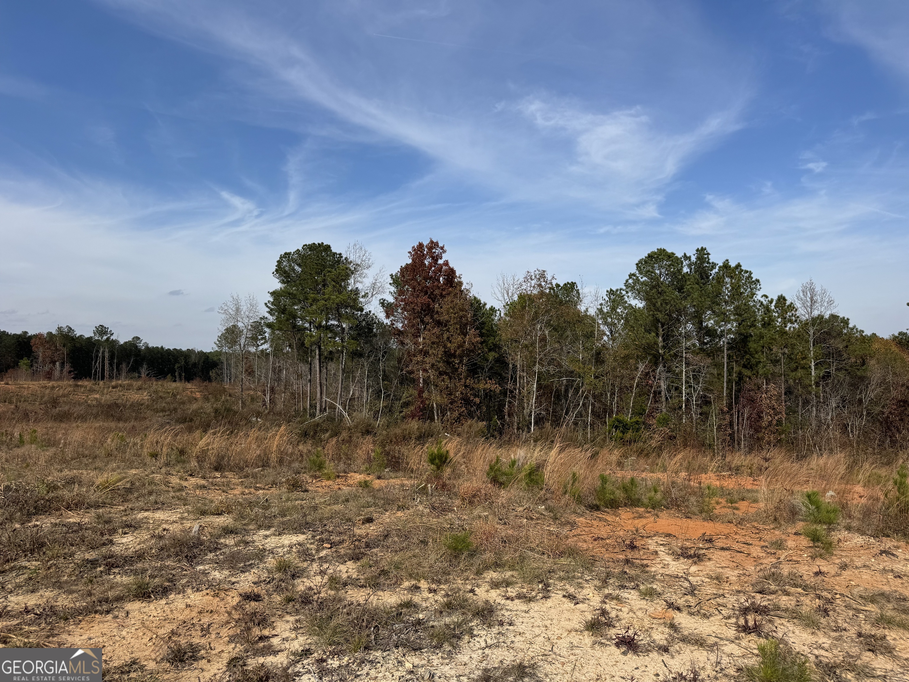 0 Old Middleton Road Elberton, GA 30635 - Photo 14 of 42 a view of a yard with a tree