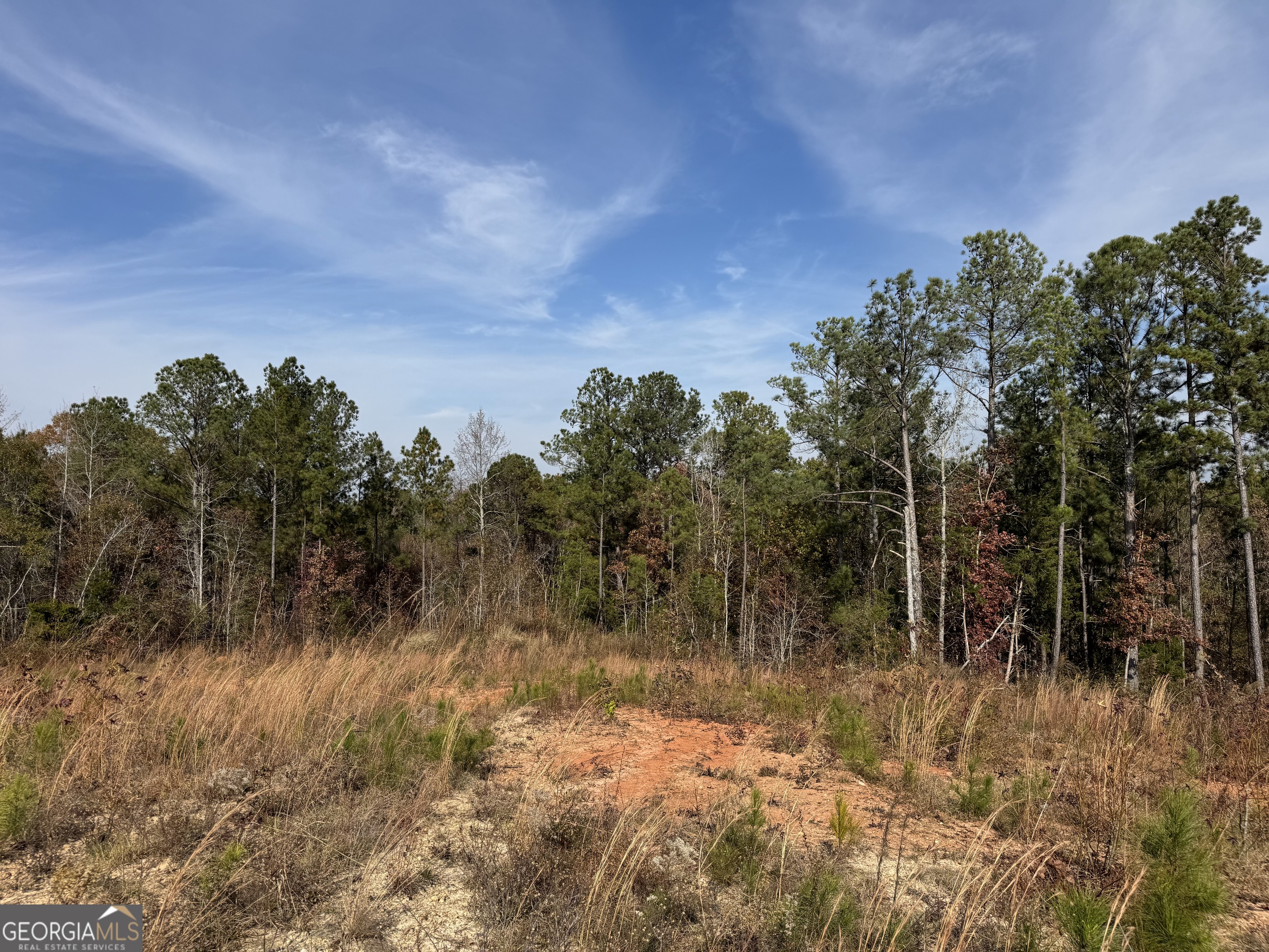 0 Old Middleton Road Elberton, GA 30635 - Photo 15 of 42 a view of a yard covered with trees in the background
