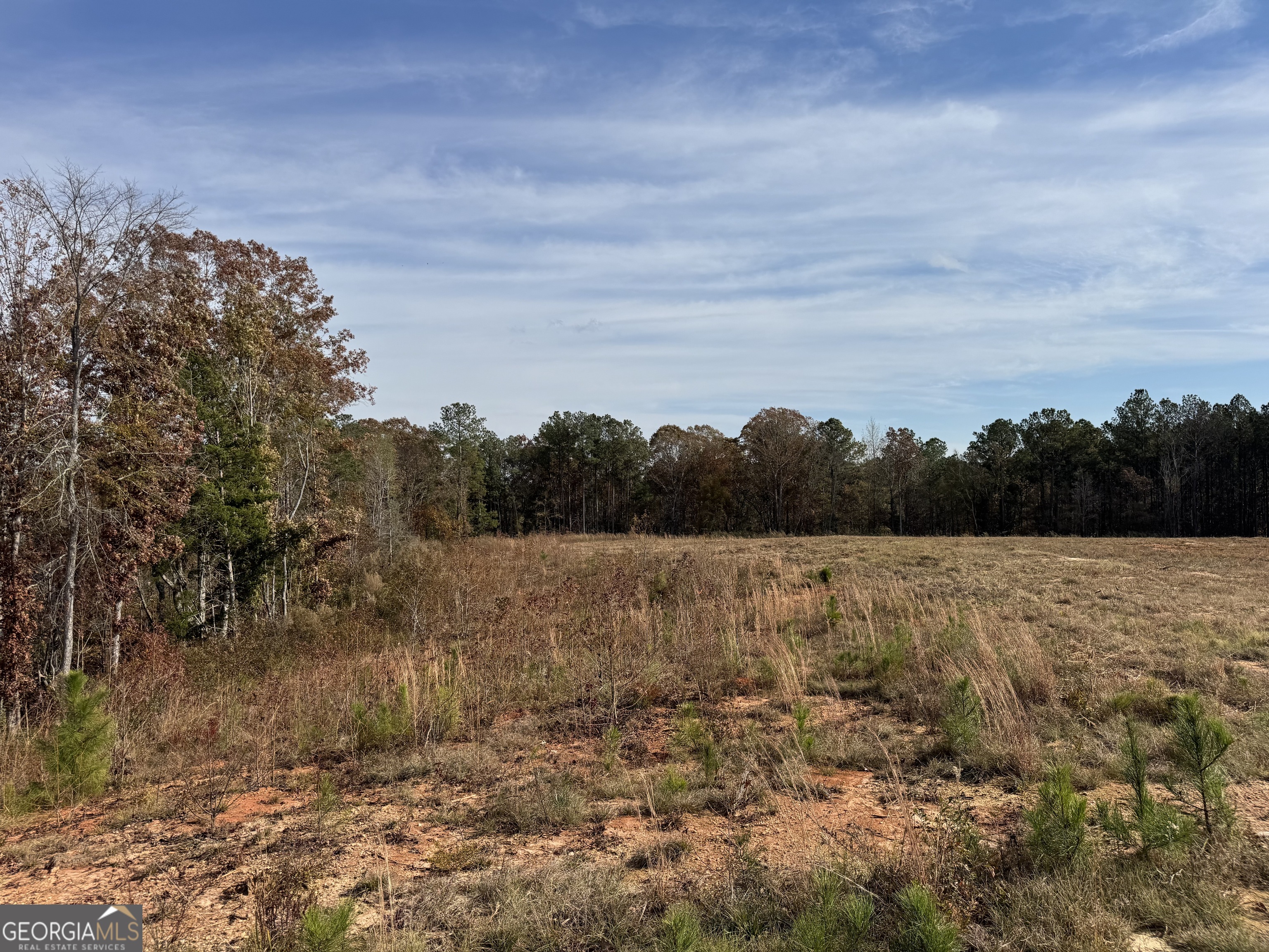 0 Old Middleton Road Elberton, GA 30635 - Photo 17 of 42 a view of lake with lots of trees